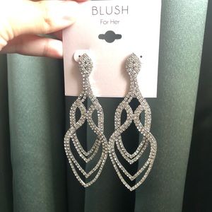 Silver Drop Earrings